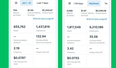 Website Purchase Results Comparison